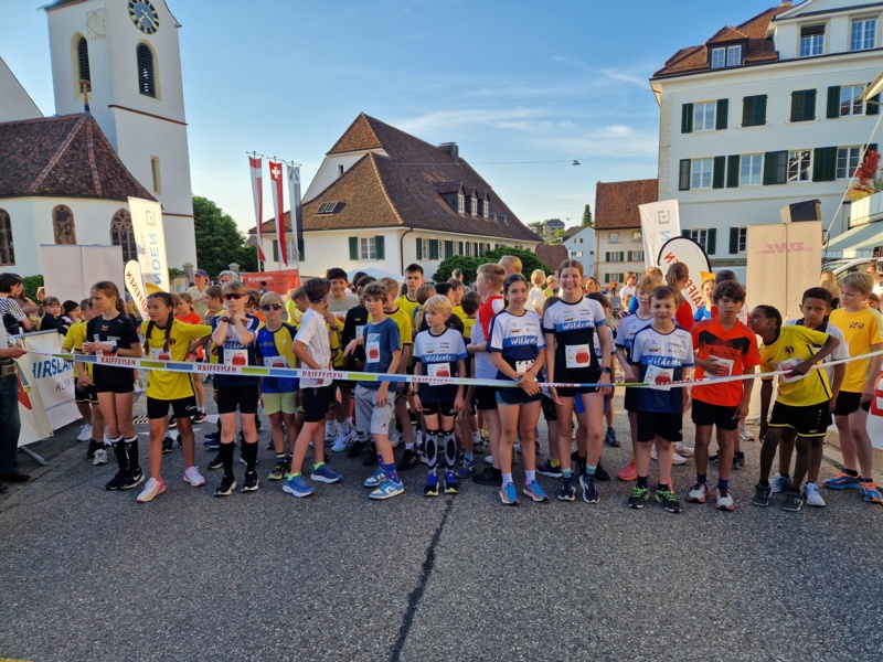 Rückblicke der Saison der Rookie Cats und Young Cats