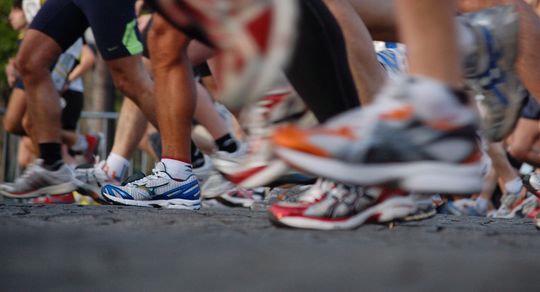 Crosslauf im Birsfeldener Hardwald