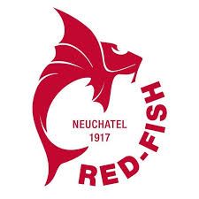 Red Fish Cup