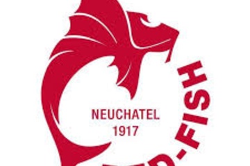 Red Fish Cup